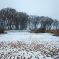 Снежный заряд