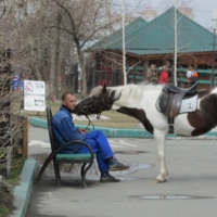 сантименты