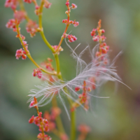 Нежная поддержка