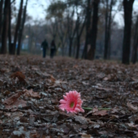 воспоминания