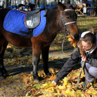Я люблю свою Лошадку.