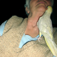 прилетел "приласкаться" ... 