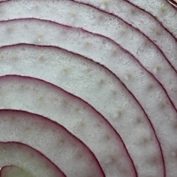 Лакриматор