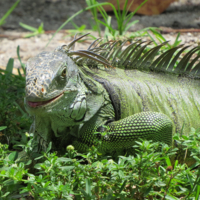 Улыбайтесь - вас снимают!