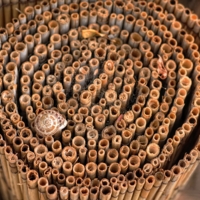 И один спиральный принцип