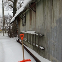 Среди прочей серости