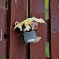 Лето кончилось!