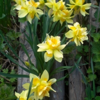 Жажда жизни