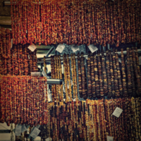 Янтарные линии