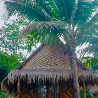 двойная крыша в тропиках
