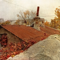 Один день осени