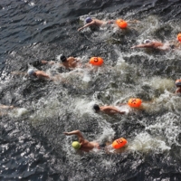 Соревнуются пловцы.