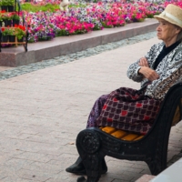 В гордом одиночестве
