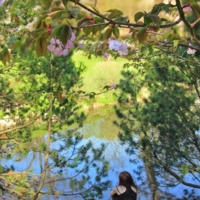 Приходи хоть на часок...