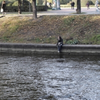 Одиночество в большом городе