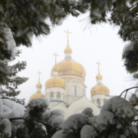 Рождественская 