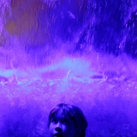 Алиса в стране чудес.