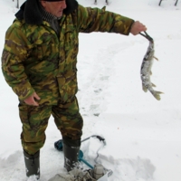 По щучьему велению