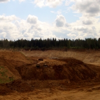 Здесь когда-то был лес ...