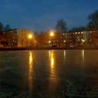 Замороженный первыми заморозками