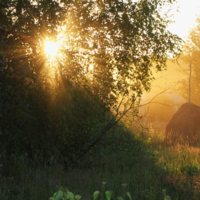 Вечерний свет