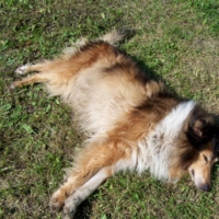 После трудного дня!