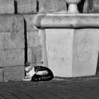 Думы потаённые