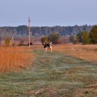 Утренняя встреча