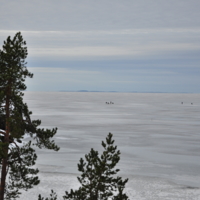 Ладога. Рыбаки на льду. 