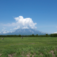 Край вулканов.