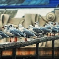 Вот Вы, говорите, первая?