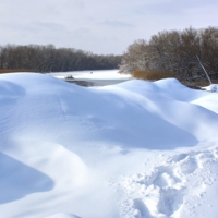 Кто раньше встал, того и рыбка