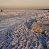 Вдоль берега моря