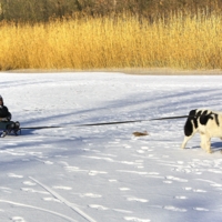 Вот ещё следопыт прицепился!