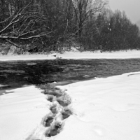 Ушли гулять по воде.