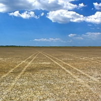 Разлинеили