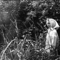 Фотосессия для начинающих