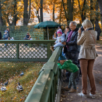 У всякого свой интерес