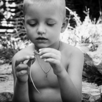 Просто не было ромашки