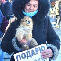 Сюрпризы птичьего рынка