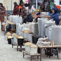 Всё для пернатых