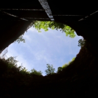 Окно в природу