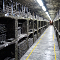 В закромах Массандры