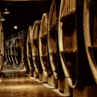 Вино любите?