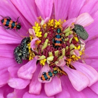 Мы приземлимся за столом...