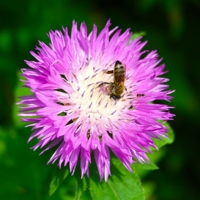 Простите, адресом ошиблись!