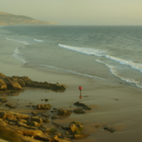 Океан отступил, и путь короче