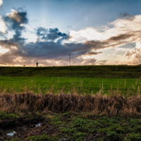 Домой до дождя...