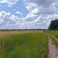 Одинокий путник