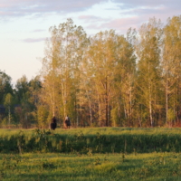 конная прогулка